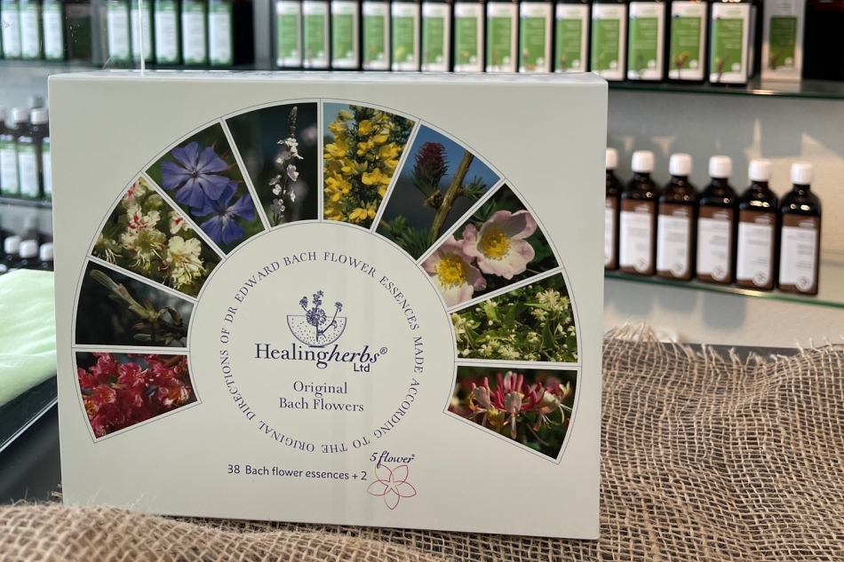 Andrea Neubauer Bodyline Kosmetik – Bachblüten