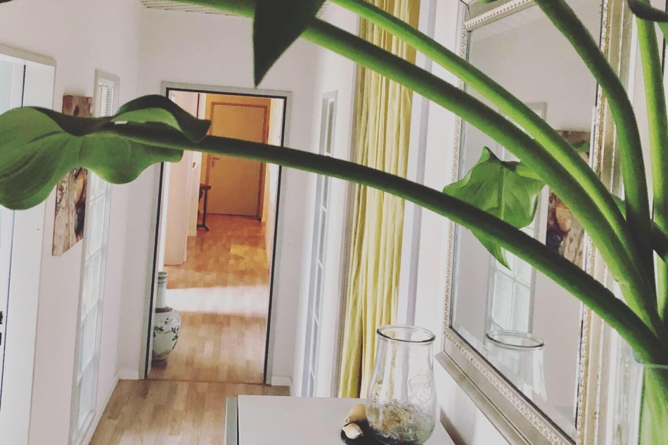 Andrea Neubauer Bodyline Kosmetik